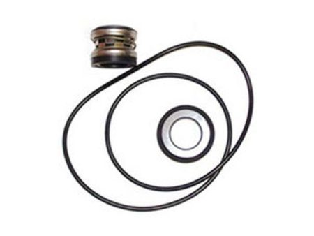 Hypro 3430-0646 - Life Guard Silicon Carbide Seal Kit Online