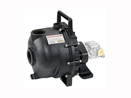 Banjo | 200PHY - 2  Poly Pump with 12 HP Hydraulic Motor Online now