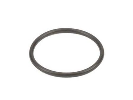 Banjo 3 4  & 1  EPDM Gasket For Cheap