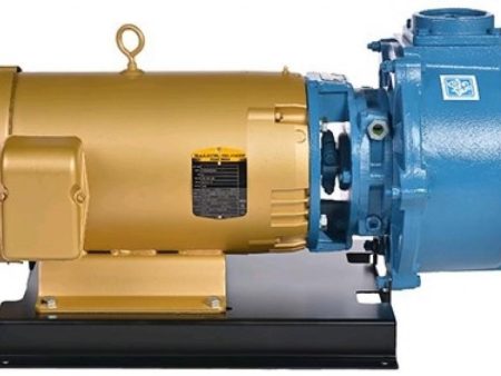 CDS-John Blue 3  Self Priming Centrifugal Electric TEFC Powered Pump - SP-3350-E15TB Discount