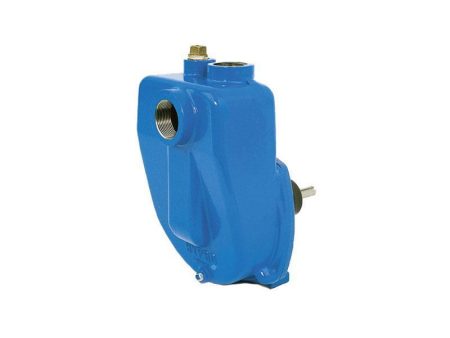 Hypro Pedestal Mount Self Priming Centrifugal Pump with Solid Shaft Online Sale