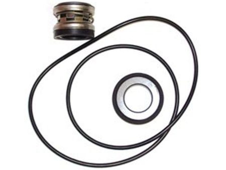 Hypro 3430-0589 - Life Guard Silicon Carbide Seal Kit - KIT ONLY For Sale