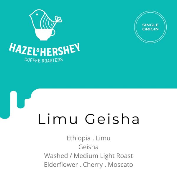 Ethiopia Limu Geisha Washed (Not Able to Order) For Sale