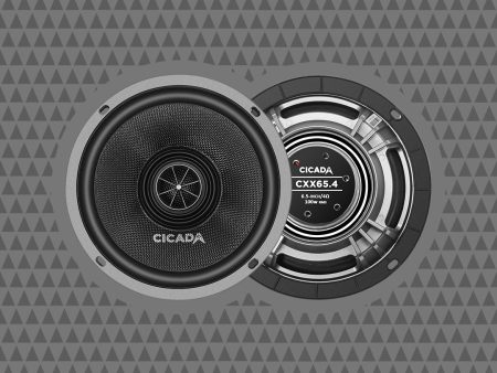 Cicada CXX 65 For Discount