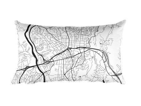 Asheville Map Throw Pillow Online