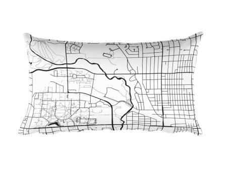 Ames Map Throw Pillow Cheap