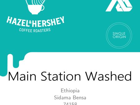 Ethiopia Alo Village Main Station Washed #453 Online Hot Sale