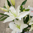 Serene Lily Elegance Vase Online Sale