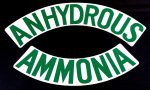 Decal - ANHYDROUS AMMONIA (Curved) - Green on White - NH3 Safety Decal Discount