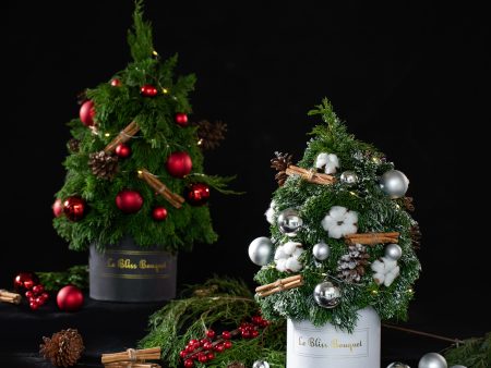 Fresh Christmas Tree Petite Bloombox on Sale