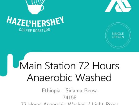 Ethiopia Alo Main Station 72 Hours Anaerobic Washed #738 on Sale