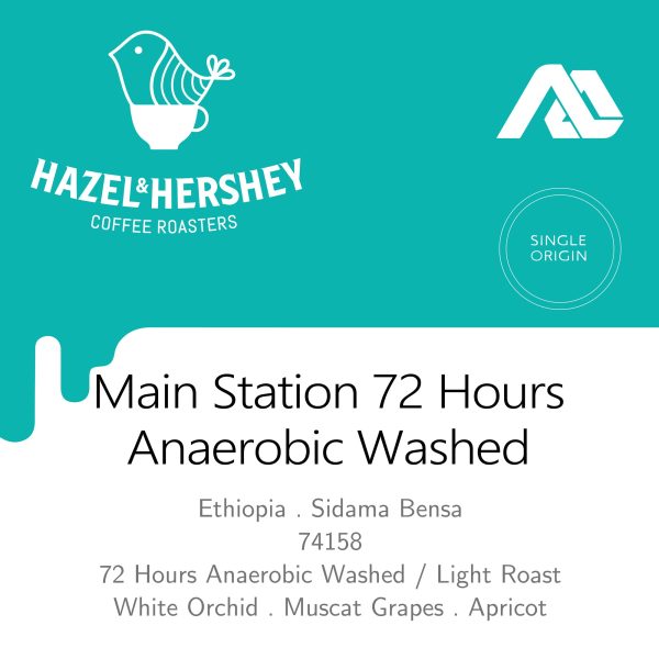 Ethiopia Alo Main Station 72 Hours Anaerobic Washed #738 on Sale