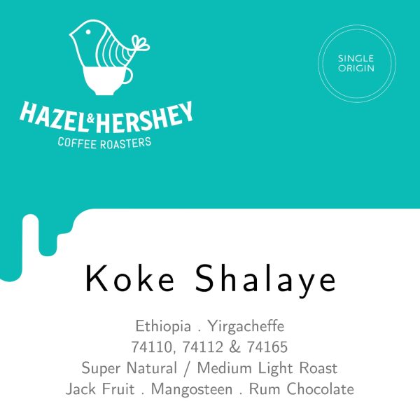 Ethiopia Yirgacheffe Koke Shalaye Super Natural For Cheap