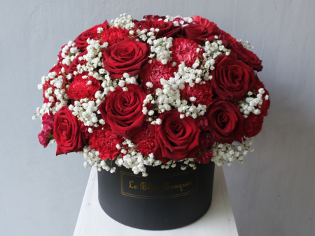 Red Explorer Rose Grand Bloombox Hot on Sale