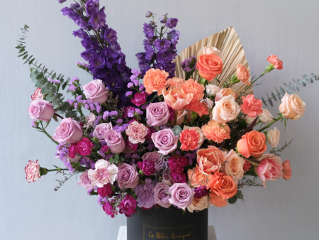 Purple Delphinium Orange Grand Bloombox Online Hot Sale