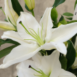 Serene Lily Elegance Vase Online Sale