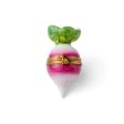 Radish Limoges Discount