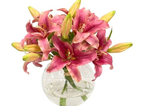 Casablanca Lilies in Bowl Online Sale