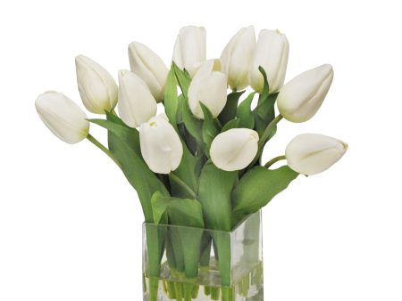 Hudson Tulips Hot on Sale