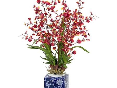 Oncidium Orchid in Blue & White Jar on Sale