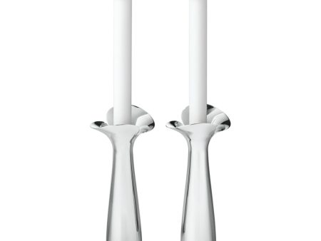 Bloom Botanica Candleholders, Set of 2 Supply