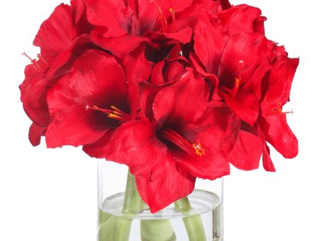 Garden Amaryllis in Vase For Sale