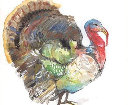 JM533 - Gather Turkey - 12x16 For Sale