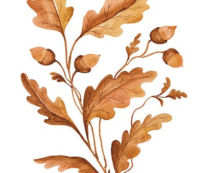 CIN3398 - Fall Leaf Stem I - 12x16 For Sale