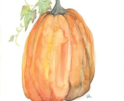 JM529 - Plump Pumpkin - 12x16 Hot on Sale