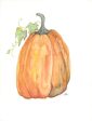 JM529 - Plump Pumpkin - 12x16 Hot on Sale